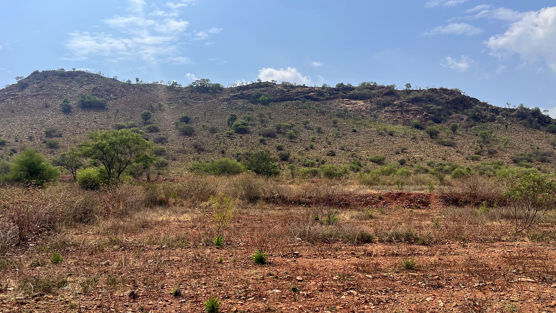 Hill beside the parcel under a blue sky with clouds