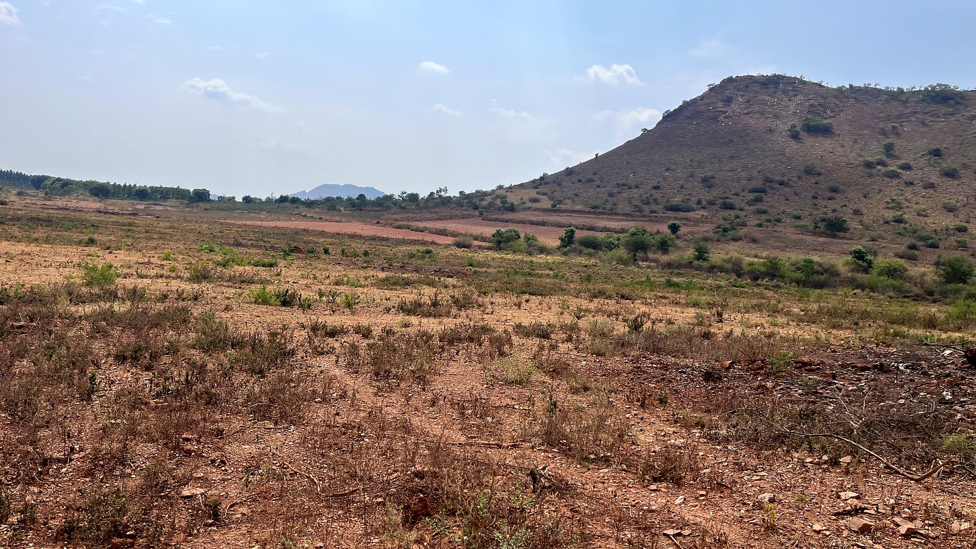 Open land on the Ekrej parcel with a hill in the background