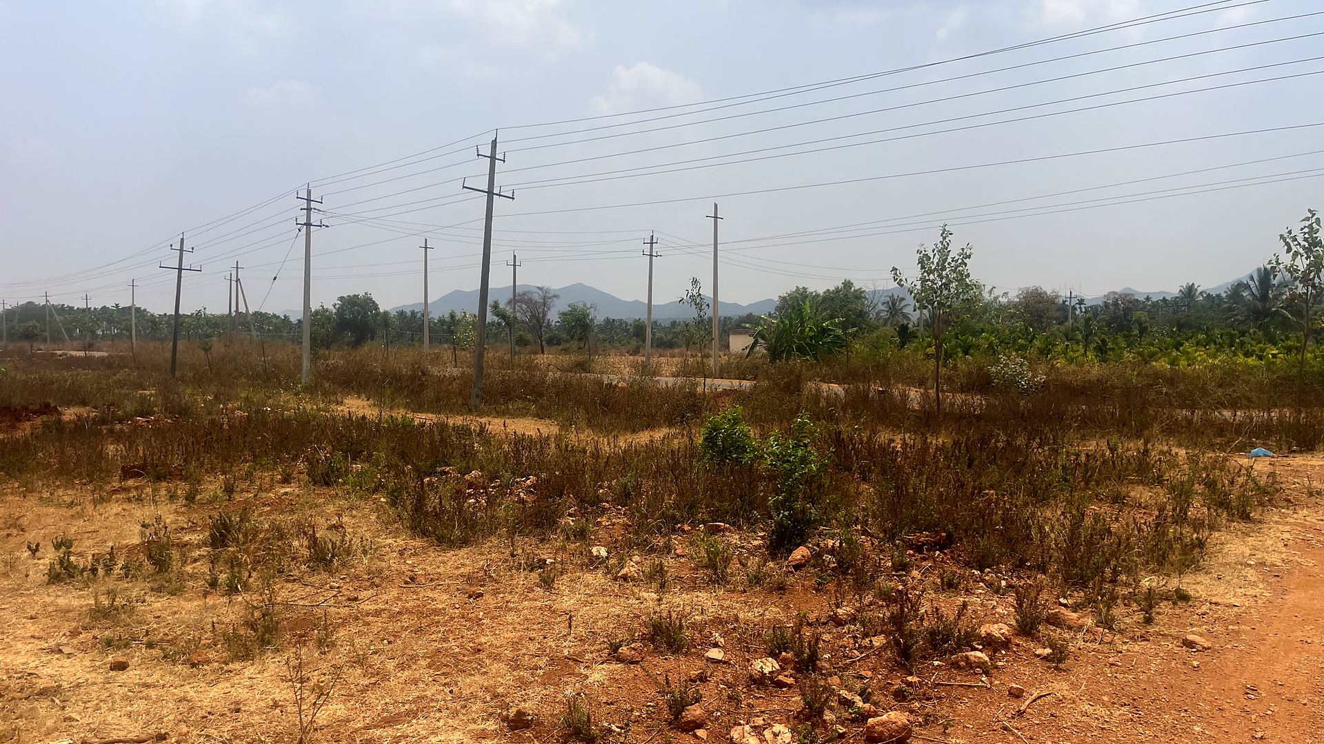 Power transmission lines crossing greenery near the parcel